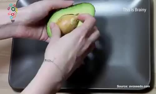 Как да си отгледаме авокадо? 