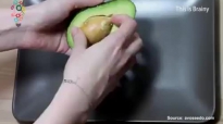 Как да си отгледаме авокадо? 