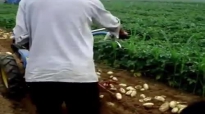  Едноредова вадачка за картофи